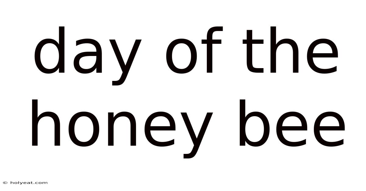 Day Of The Honey Bee
