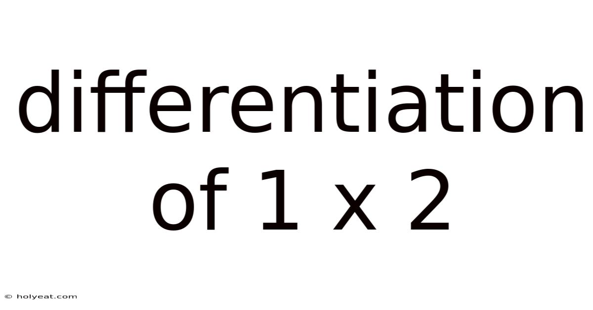 Differentiation Of 1 X 2
