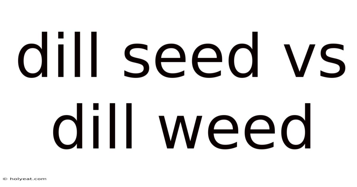 Dill Seed Vs Dill Weed