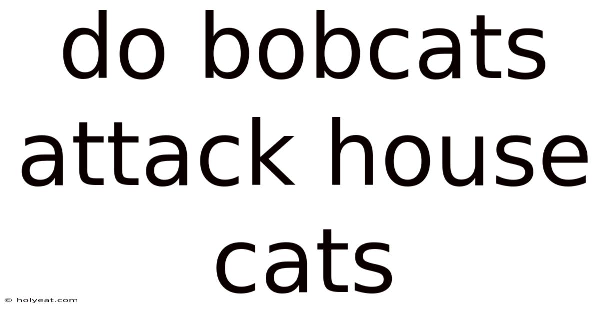Do Bobcats Attack House Cats