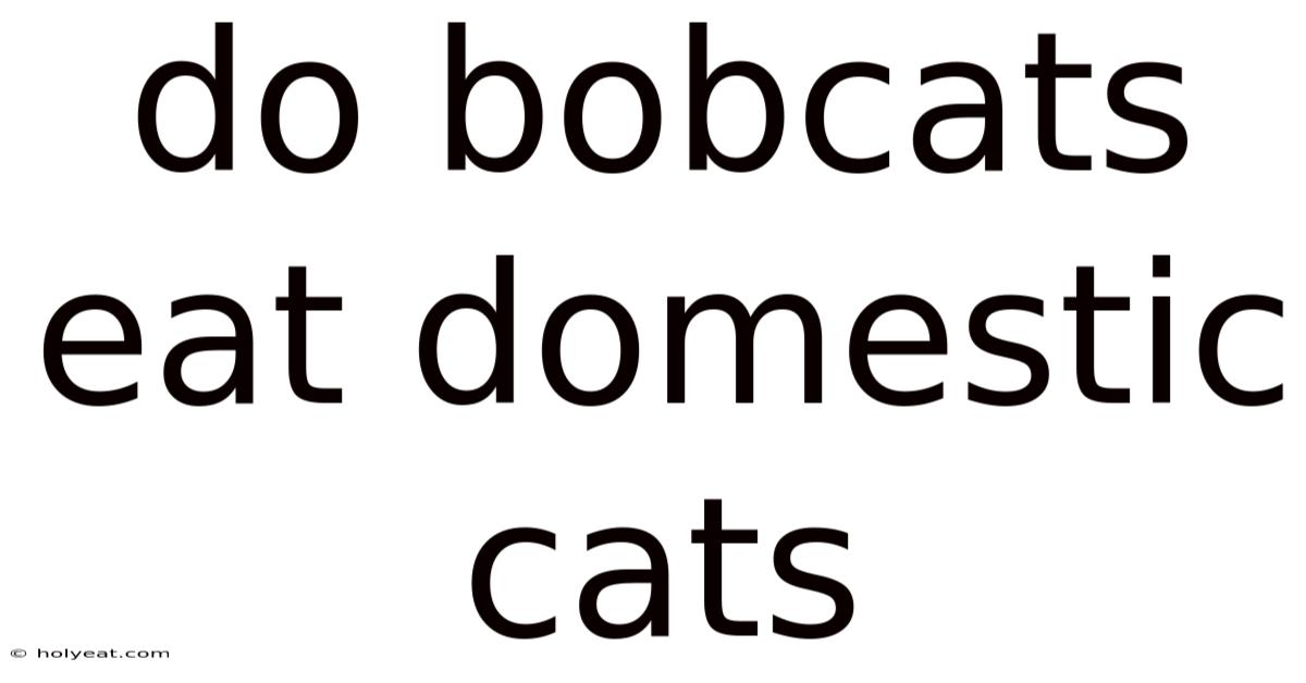 Do Bobcats Eat Domestic Cats