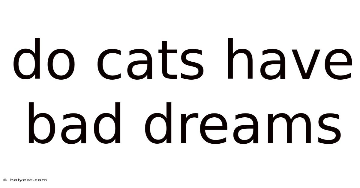 Do Cats Have Bad Dreams