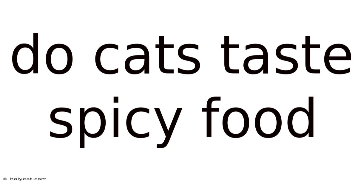 Do Cats Taste Spicy Food