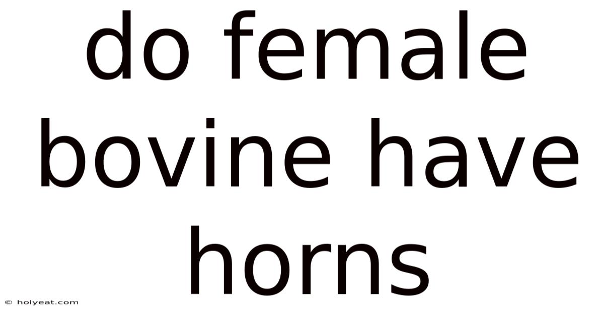 Do Female Bovine Have Horns