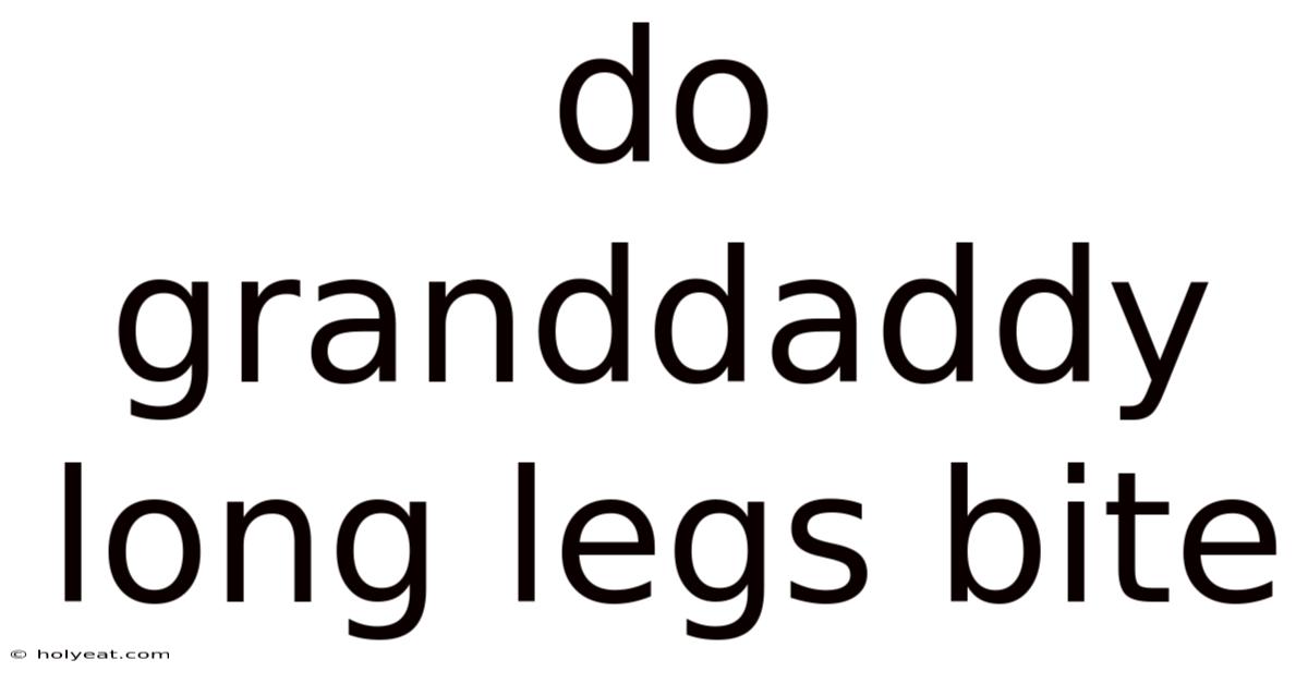 Do Granddaddy Long Legs Bite
