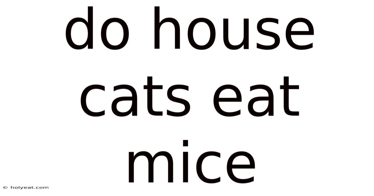 Do House Cats Eat Mice