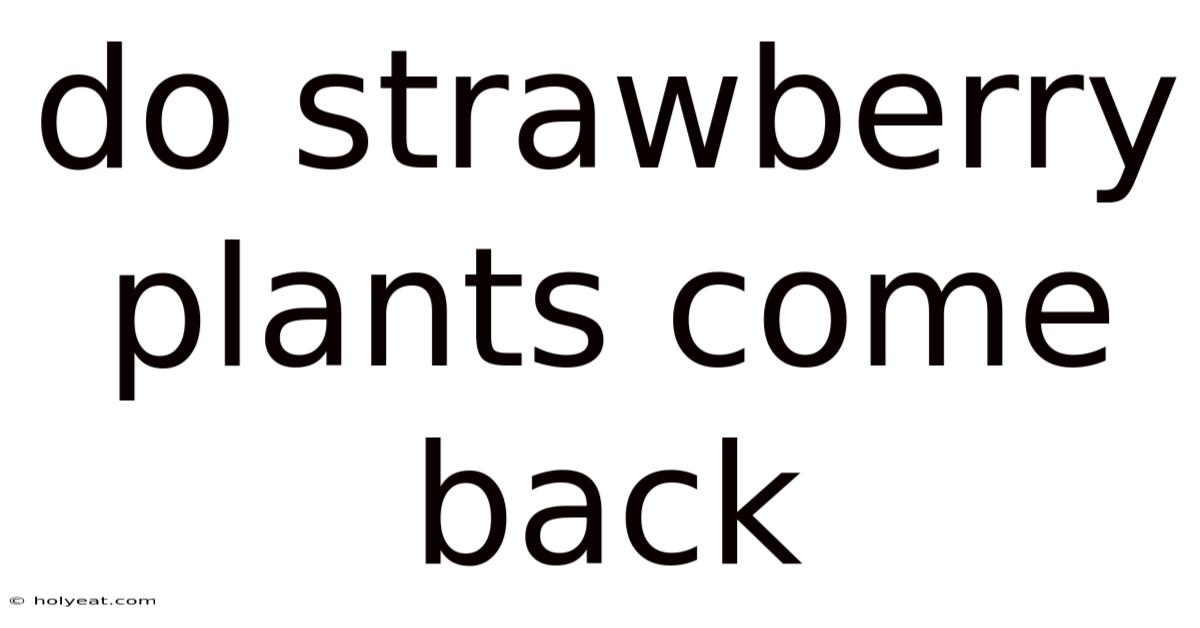 Do Strawberry Plants Come Back