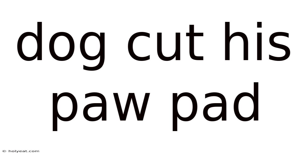 Dog Cut His Paw Pad