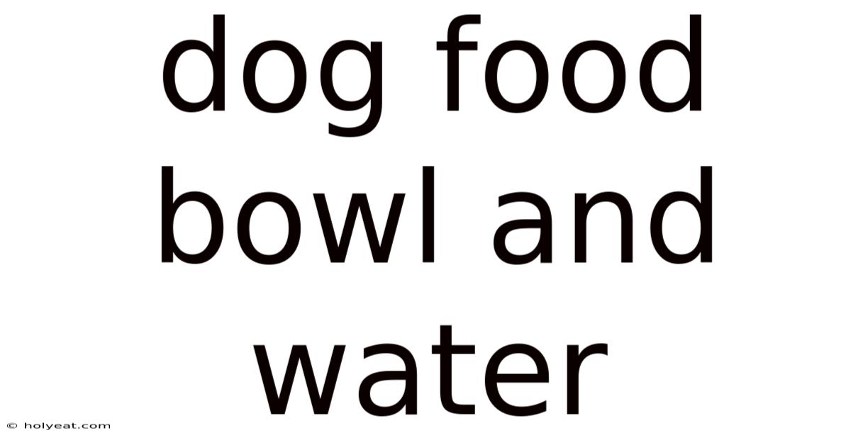 Dog Food Bowl And Water