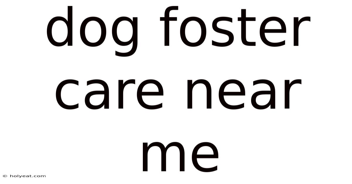 Dog Foster Care Near Me