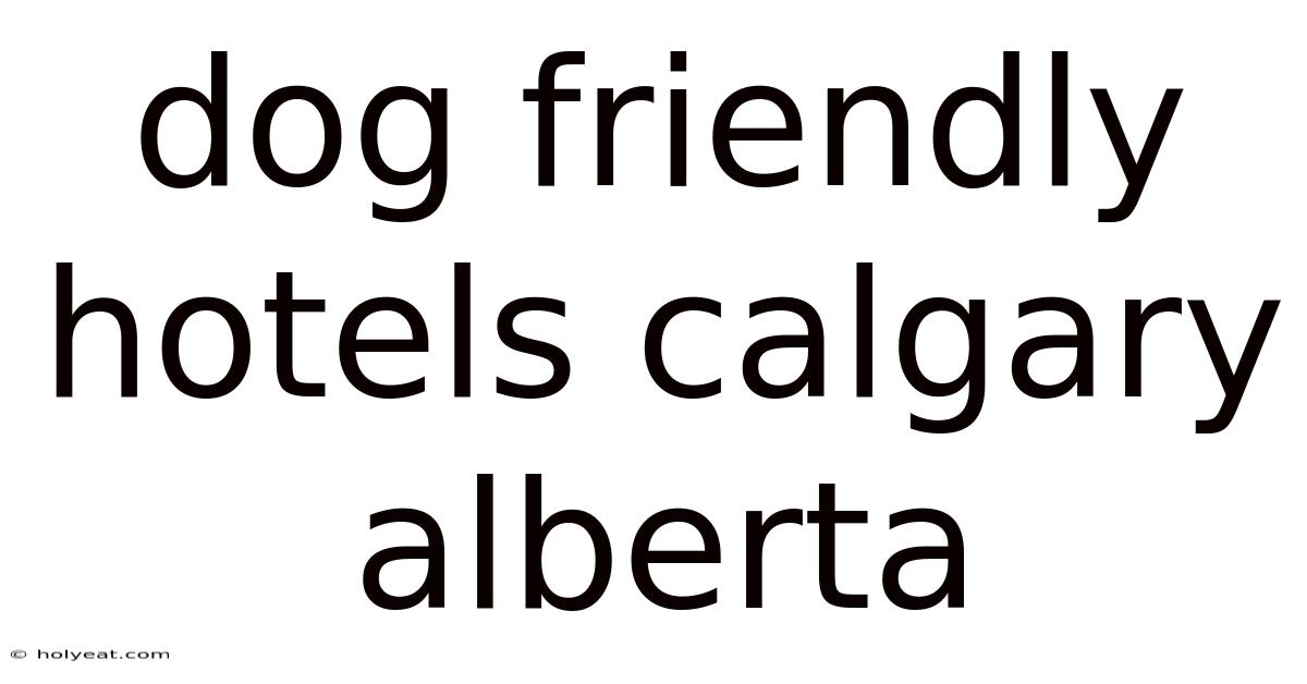 Dog Friendly Hotels Calgary Alberta