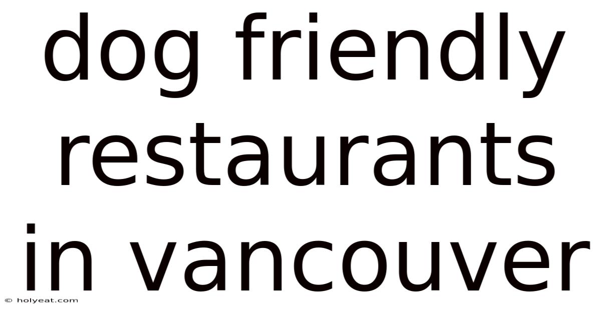 Dog Friendly Restaurants In Vancouver