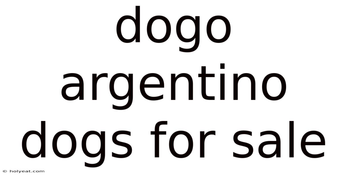 Dogo Argentino Dogs For Sale