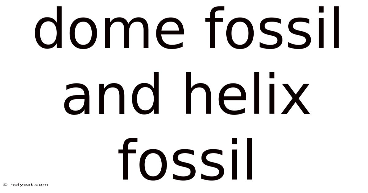 Dome Fossil And Helix Fossil