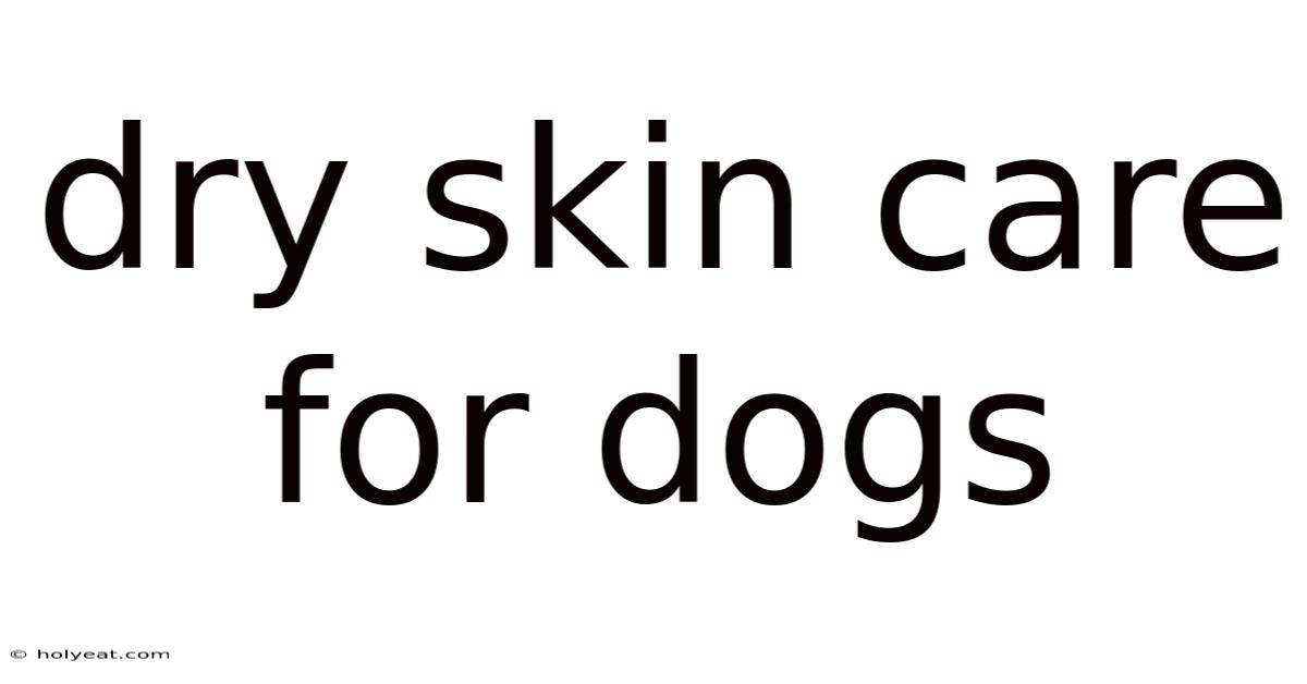 Dry Skin Care For Dogs
