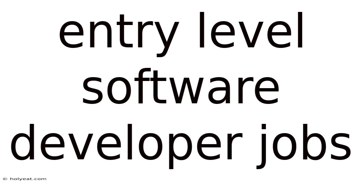 Entry Level Software Developer Jobs