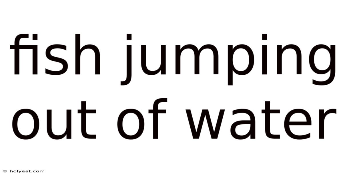 Fish Jumping Out Of Water