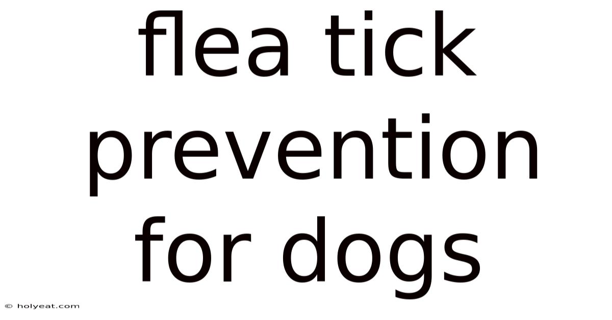 Flea Tick Prevention For Dogs