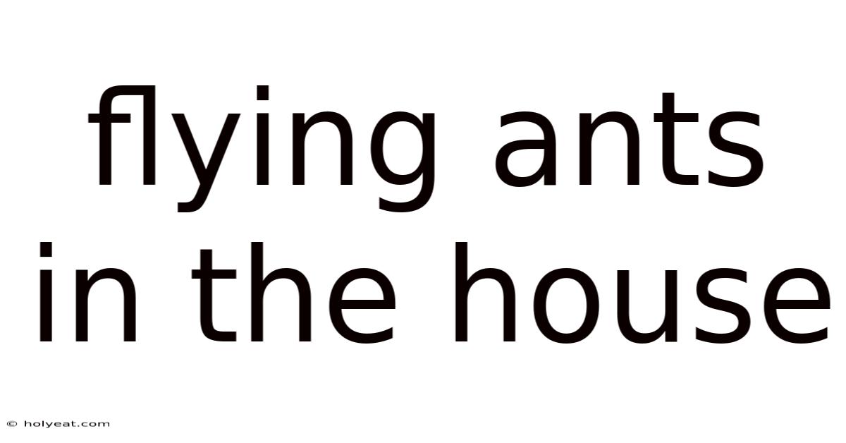 Flying Ants In The House