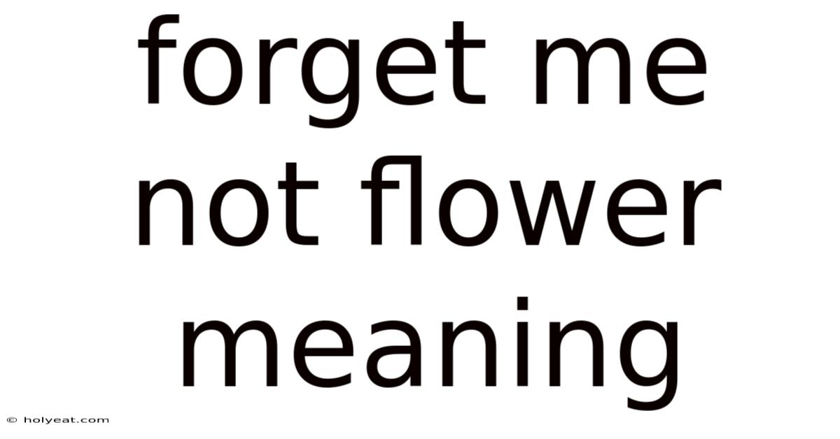 Forget Me Not Flower Meaning