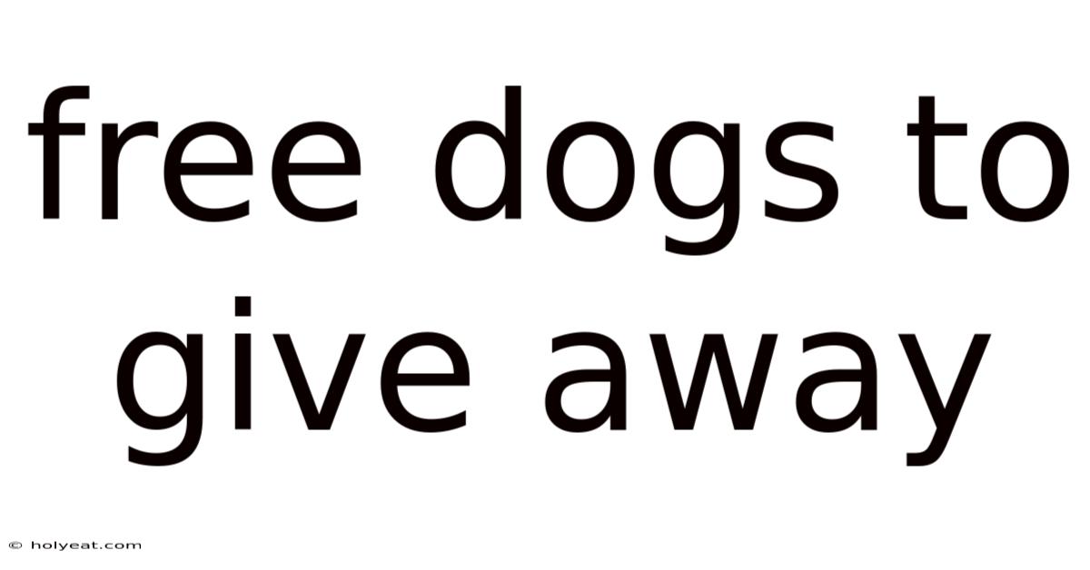 Free Dogs To Give Away
