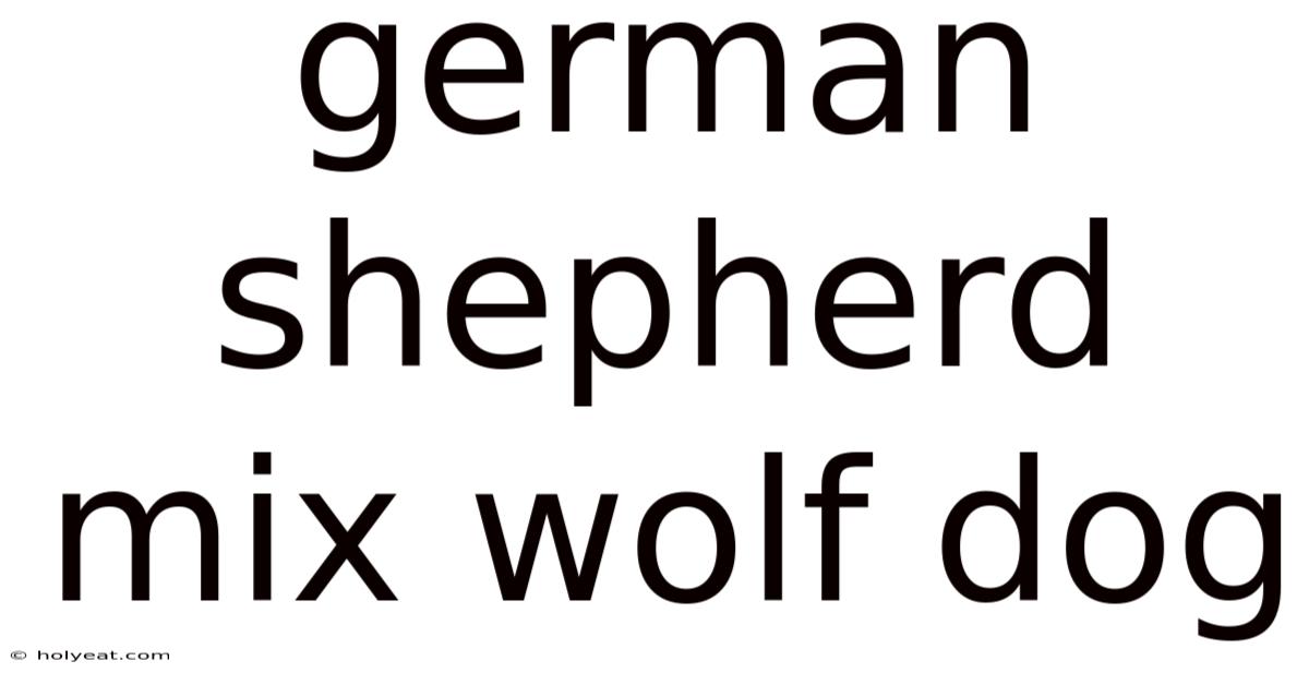 German Shepherd Mix Wolf Dog