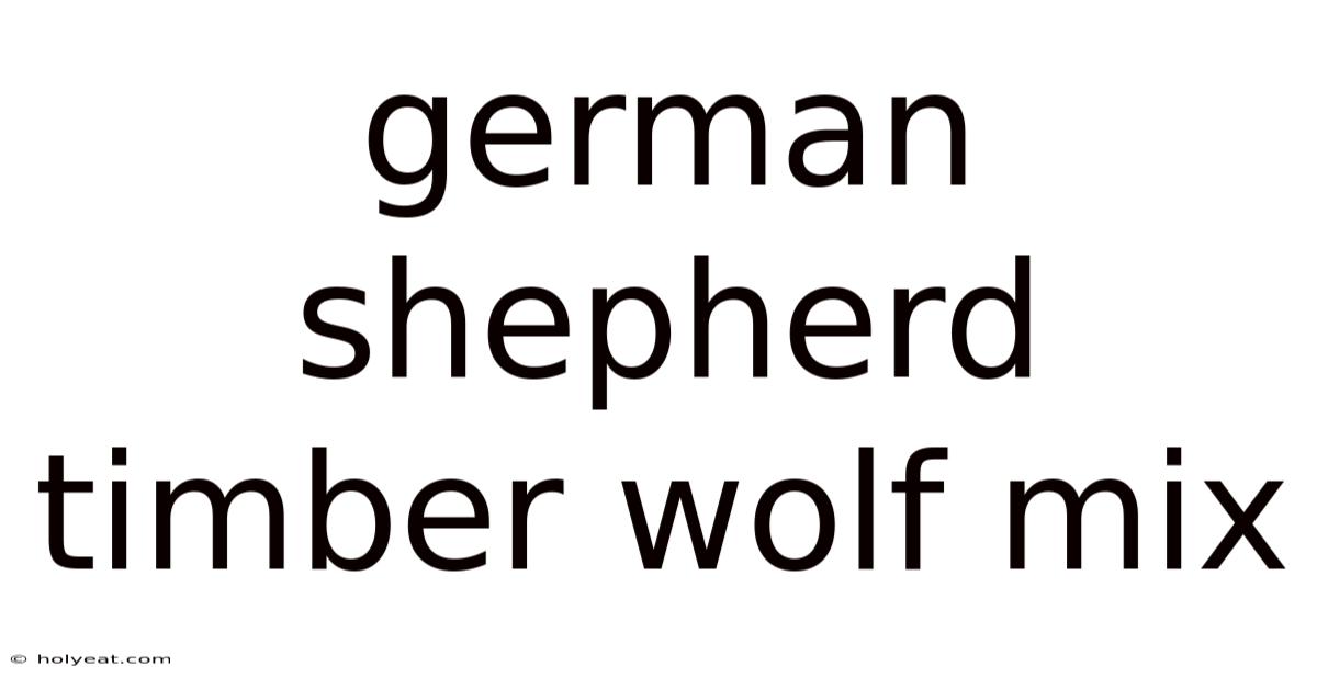 German Shepherd Timber Wolf Mix