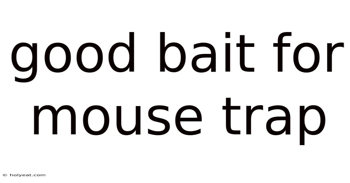 Good Bait For Mouse Trap
