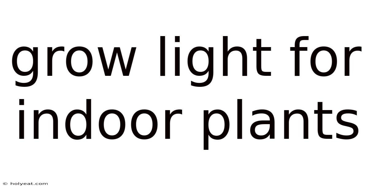 Grow Light For Indoor Plants