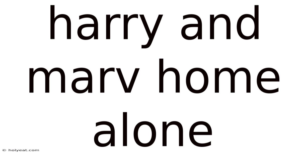 Harry And Marv Home Alone