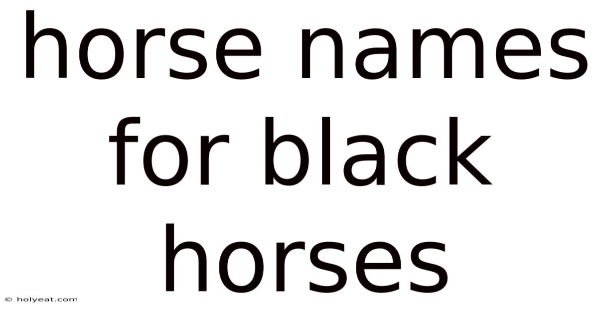 Horse Names For Black Horses