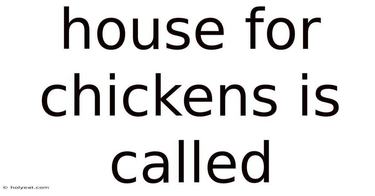 House For Chickens Is Called