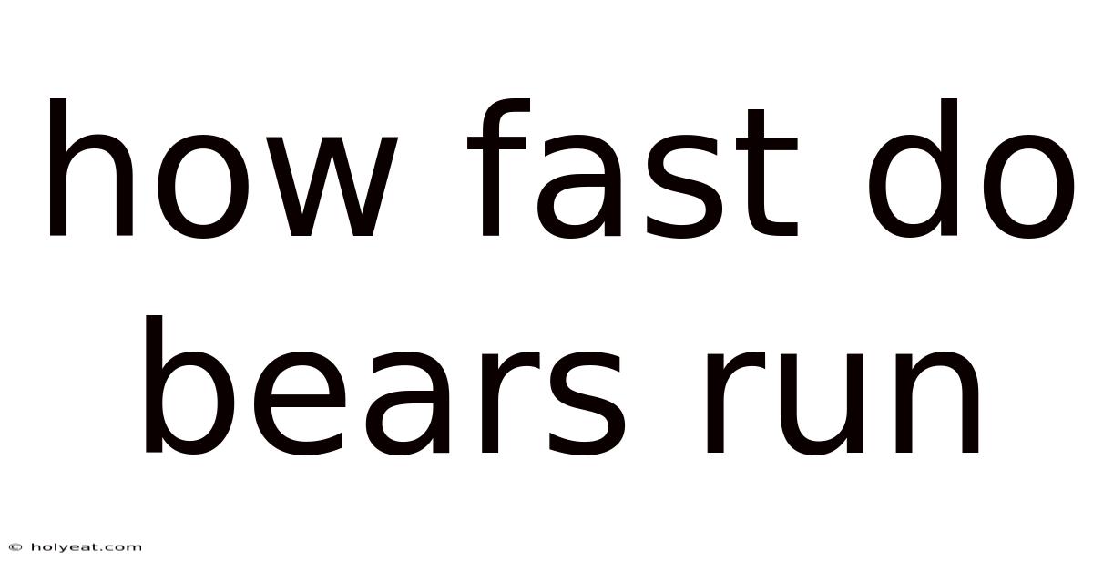 How Fast Do Bears Run