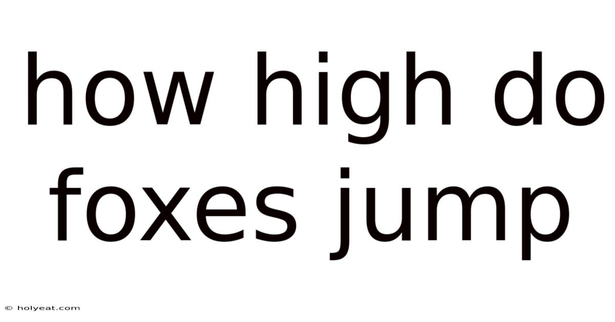 How High Do Foxes Jump