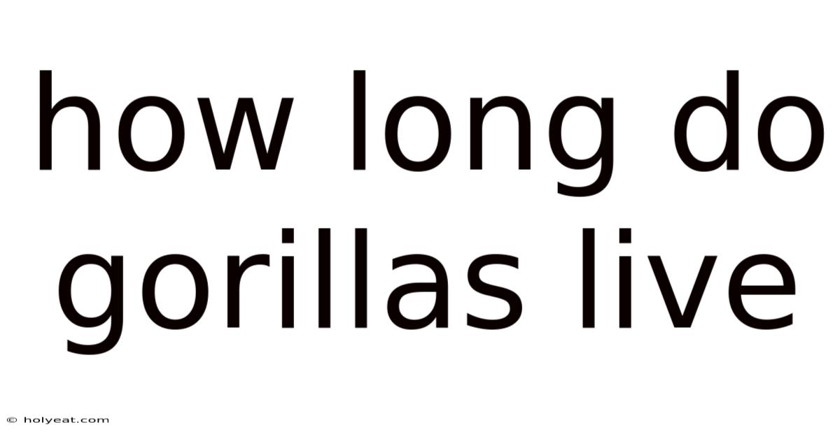 How Long Do Gorillas Live