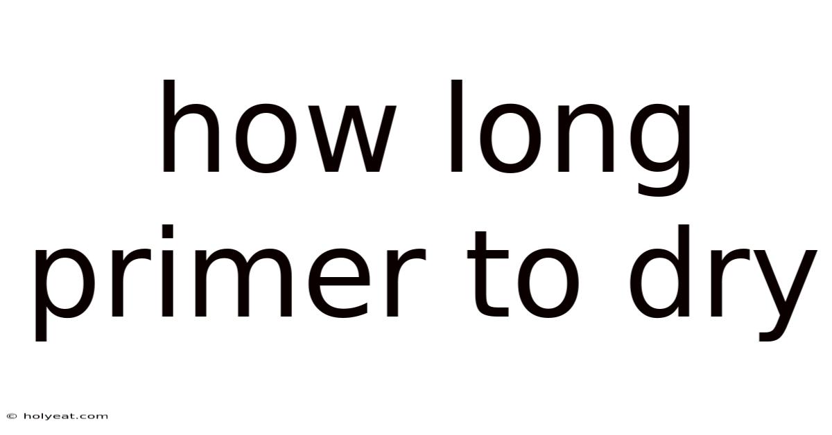 How Long Primer To Dry