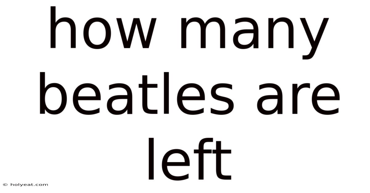 How Many Beatles Are Left