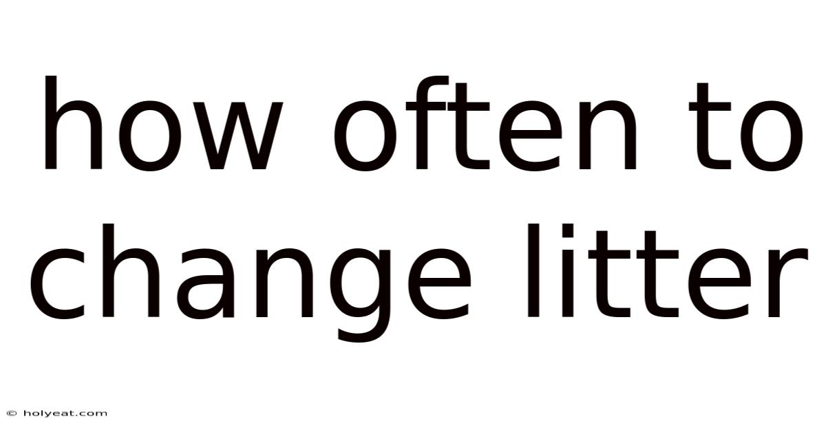 How Often To Change Litter