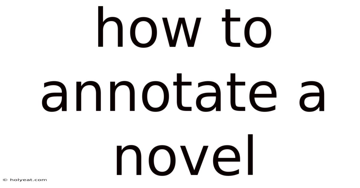 How To Annotate A Novel