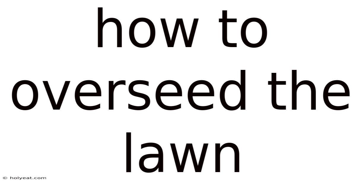 How To Overseed The Lawn