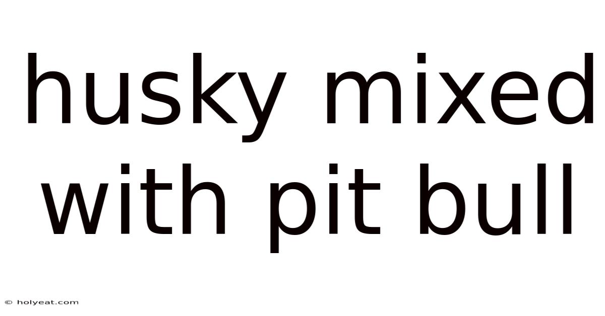 Husky Mixed With Pit Bull