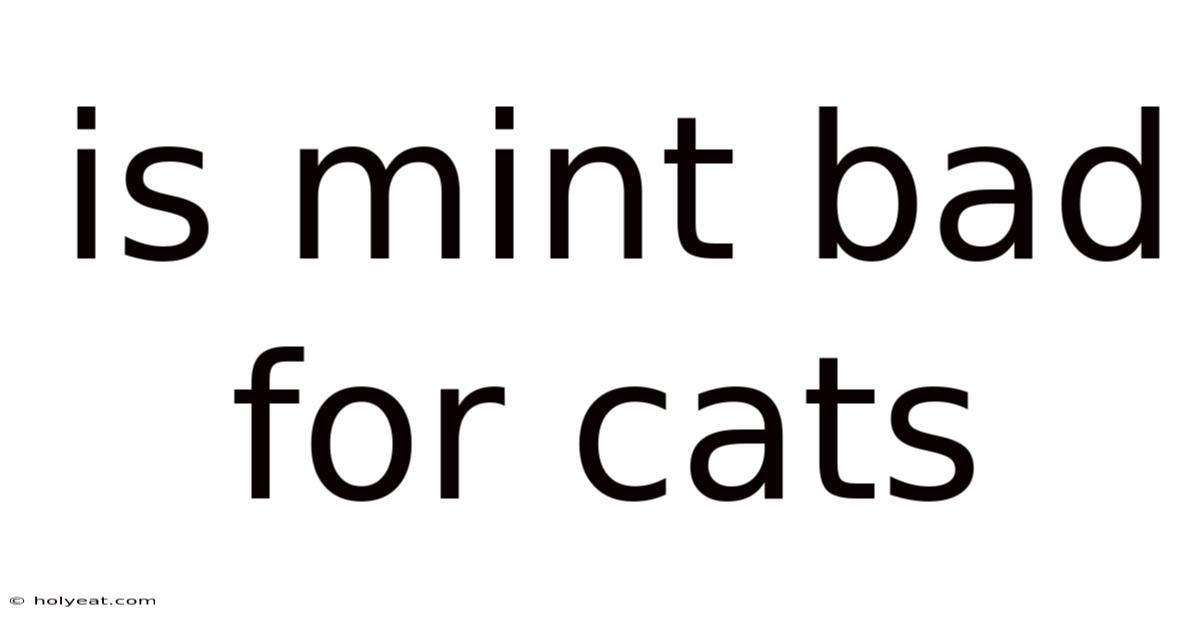 Is Mint Bad For Cats