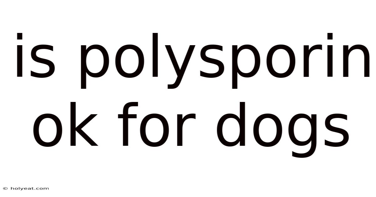 Is Polysporin Ok For Dogs