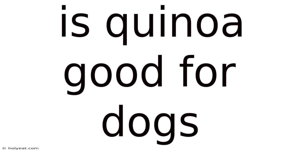 Is Quinoa Good For Dogs