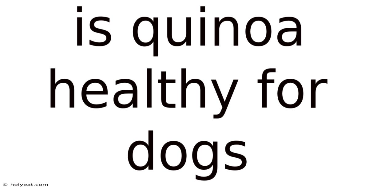 Is Quinoa Healthy For Dogs