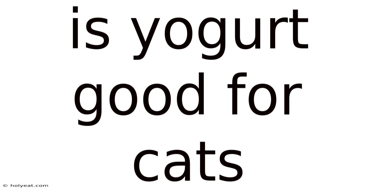 Is Yogurt Good For Cats