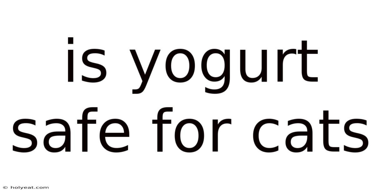 Is Yogurt Safe For Cats