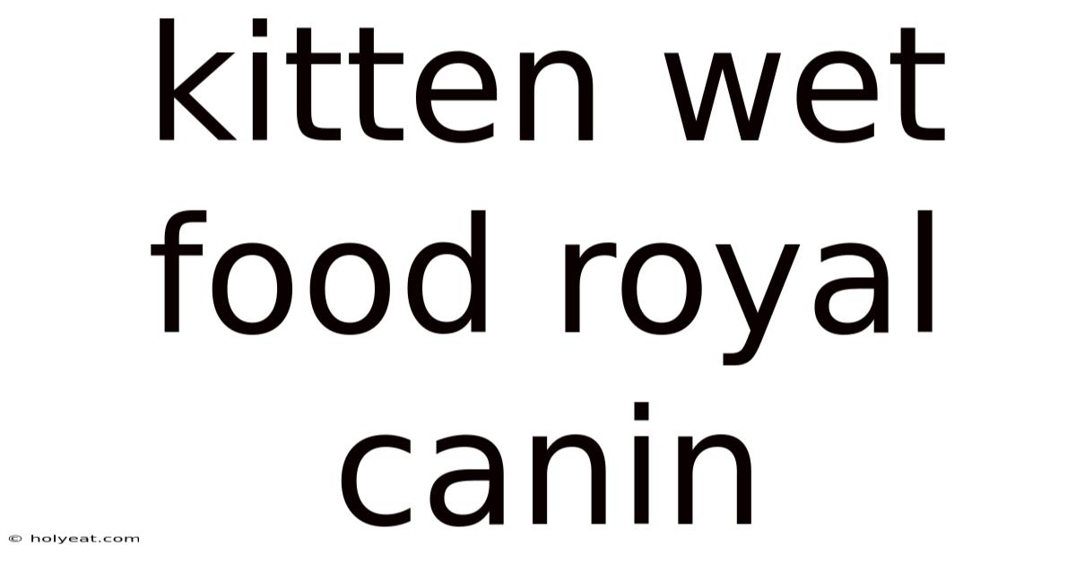 Kitten Wet Food Royal Canin