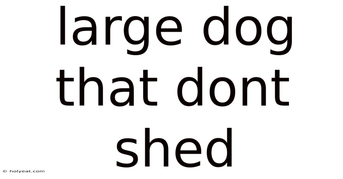 Large Dog That Dont Shed