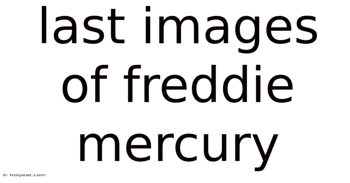 Last Images Of Freddie Mercury